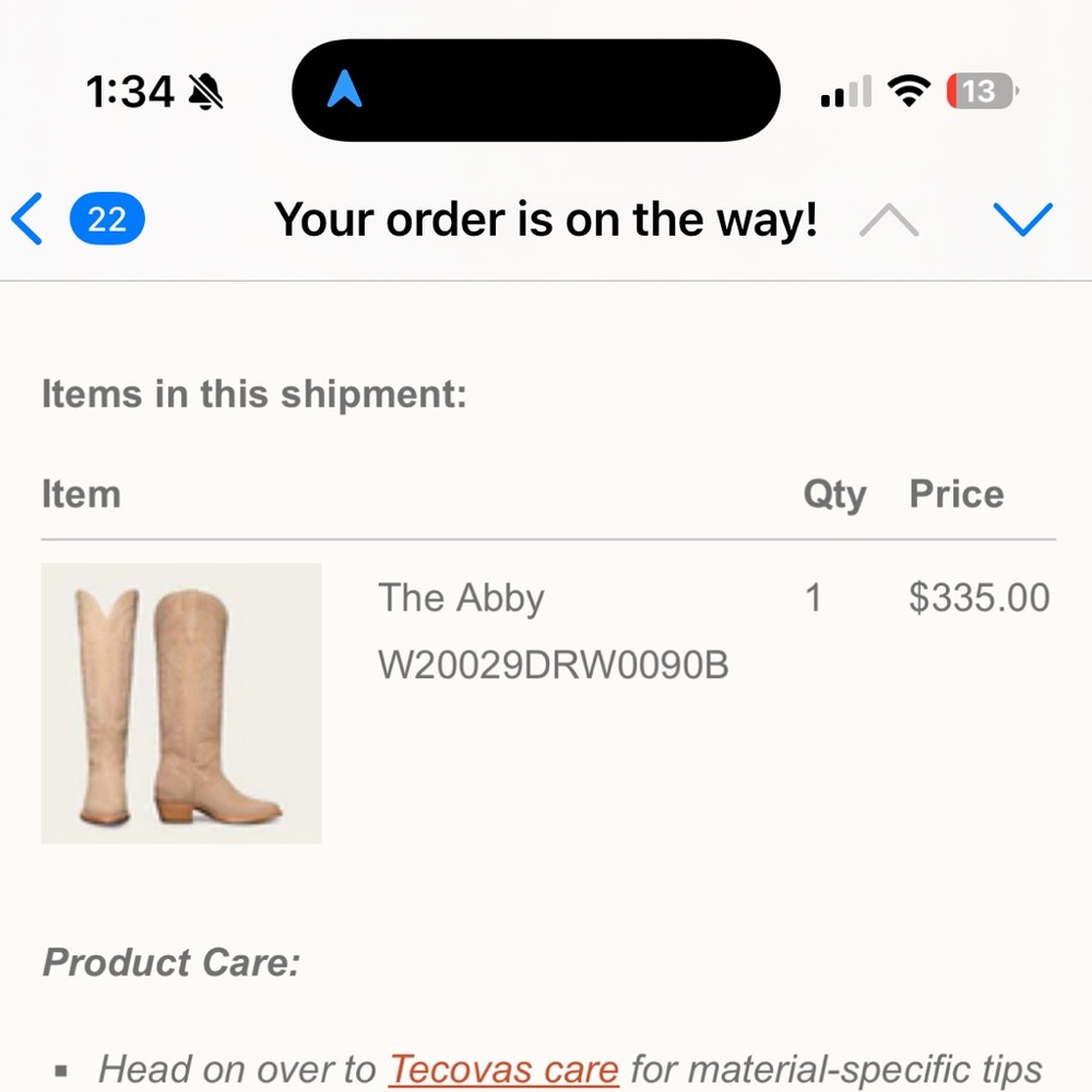 THE ABBY  TECOVAS